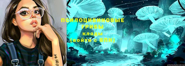 гидра Абдулино